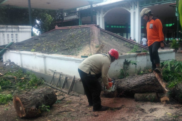 Diterjang Angin Kencang, Belasan Pohon Roboh Timpa Rumah & Mobil Warga