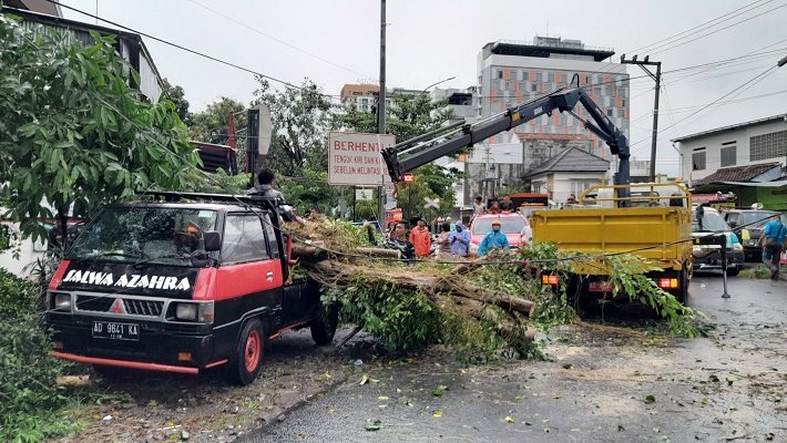 Sebuah mobil pikap yang diparkir di pinggir Jl. Hasanudin Purwosari, Laweyan, Solo, tertimpa pohon beringin yang tumbang akibat hujan deras yang disertai angin kencang, Sabtu (14/5/2022) sore. (Solopos/Kurniawan)