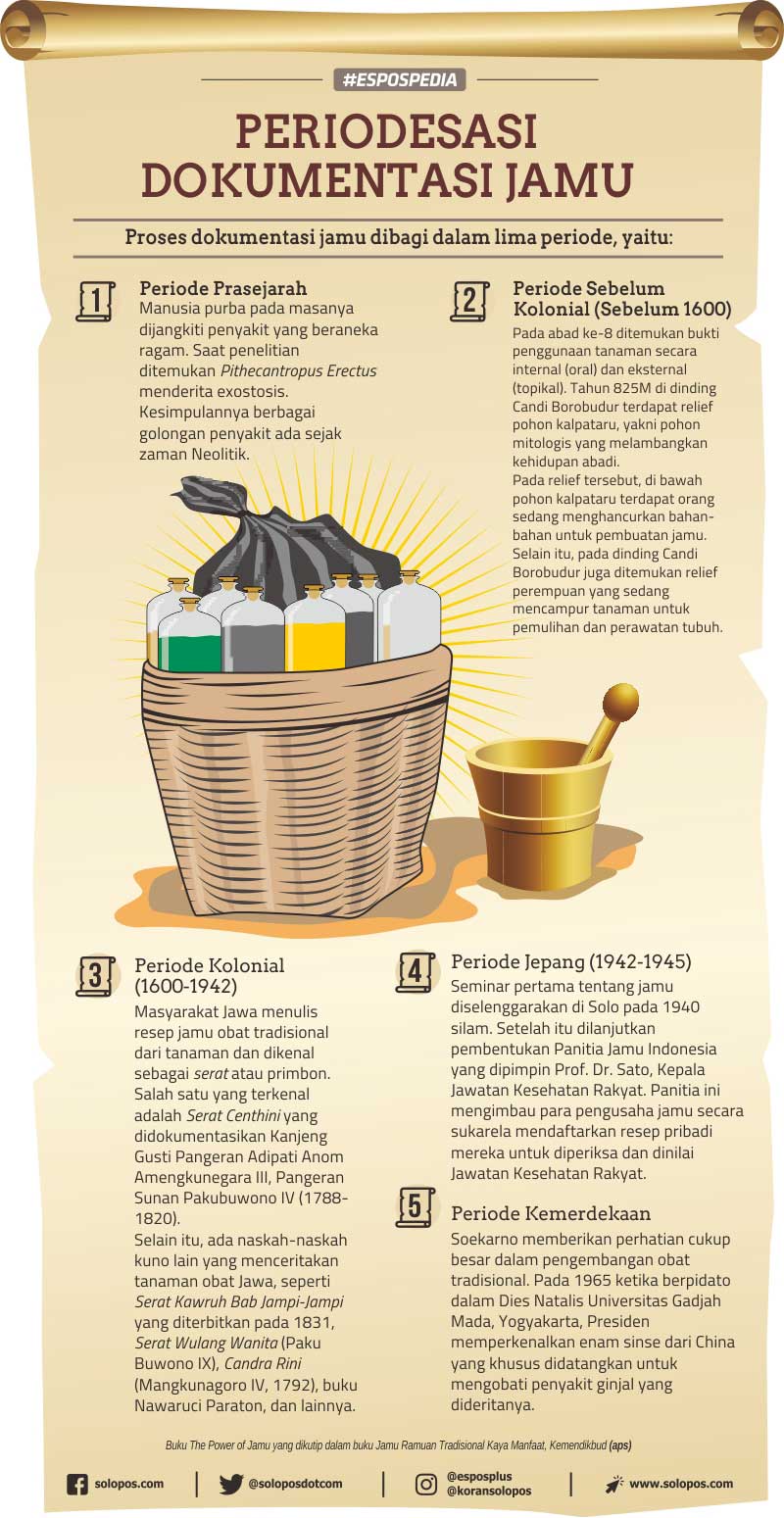 Infografis Jamu (Solopos/Whisnupaksa K)