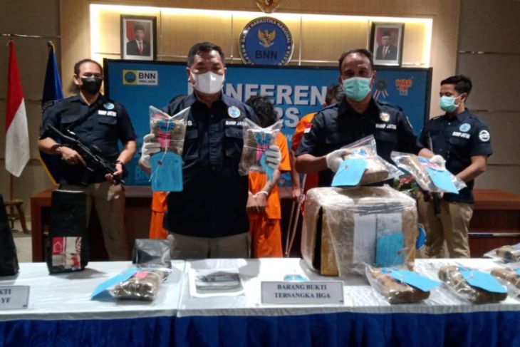 Kepala BNNP Jatim Brigjen Polisi M. Aris Purnomo (dua kiri) menunjukkan barang bukti ganja yang disita dari dua perkara berbeda. (ANTARA Jatim/HO-Humas BNNP Jatim/WI)