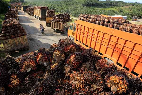 Ekspor CPO Dibuka, Kemenperin Tak Ubah Strategi Distribusi Migor