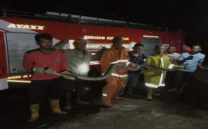 Tim Rescue Damkar Wonogiri berhasil mengevakuasi Ular Sanca yang masuk ke pemukiman warga Desa Pokoh Kidul, Kecamatan Wonogiri, Kabupaten Wonogiri, Kamis (19/5/2022) tengah malam. (Istimewa/ Ayiep Donni Listria Sakti)