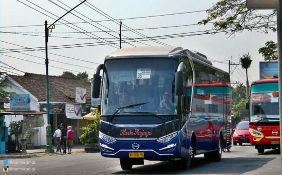 bus bumel