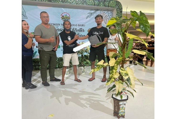 Wow, 4 Tanaman Hias Ini Dibarter dengan 1 Mobil Jazz di Sukoharjo
