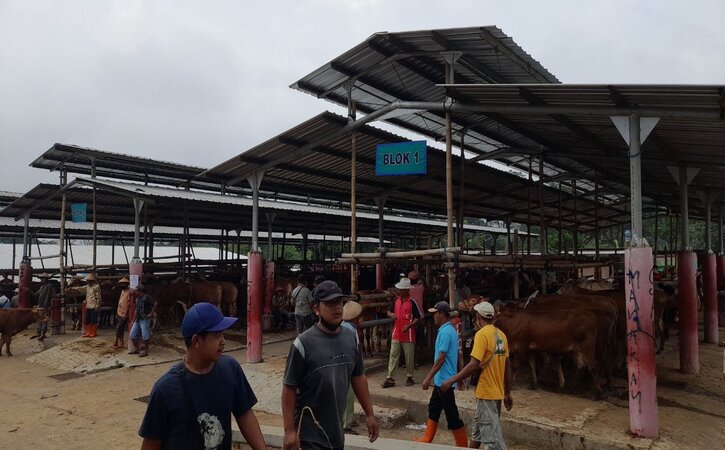 Suasana pasar hewan di Cepogo, Boyolali, menjelang penutupan selama dua pekan, Kamis (26/5/2022). Seluruh pasar hewan di Boyolali ditutup selama dua pekan mulai 27 Mei 2022-10 Juni 2022. (Solopos.com/Ni’matul Faizah)