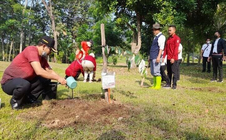 Ada 5 Pohon Spesies Langka di Kebun Raya Indrokilo Boyolali, Apa Saja?