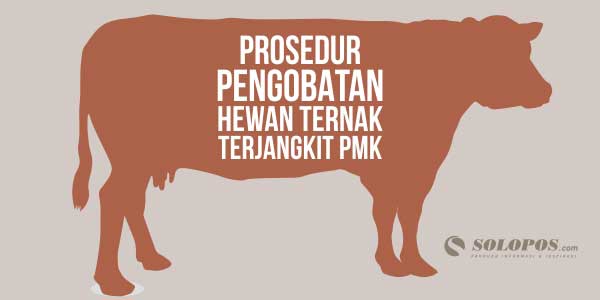 Prosedur Pengobatan Hewan Terjangkit PMK