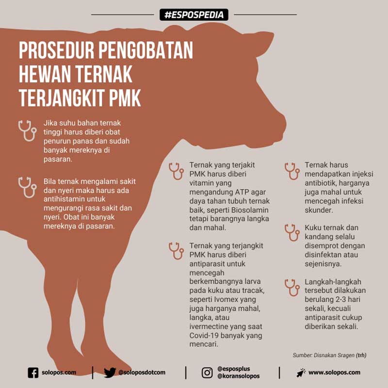 Infografis PMK (Solopos/Whisnupaksa)