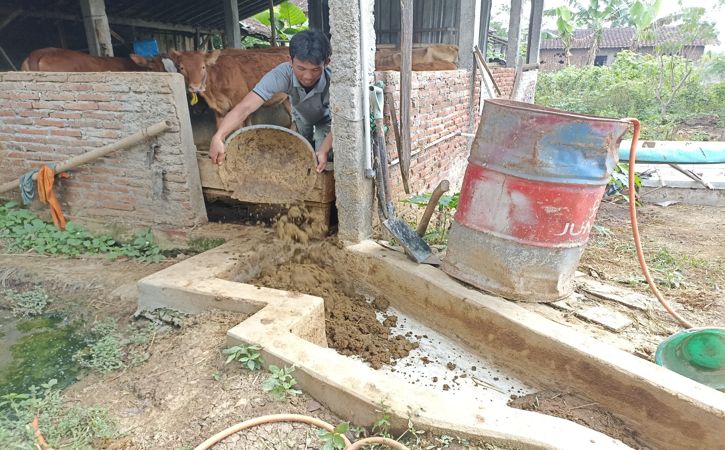 Proses pengolahan kotoran sapi di biodigester ke dua di Desa Genengsari, Polokarto, Sukoharjo, Senin (6/6/2022). (Solopos/Magdalena Naviriana Putri)