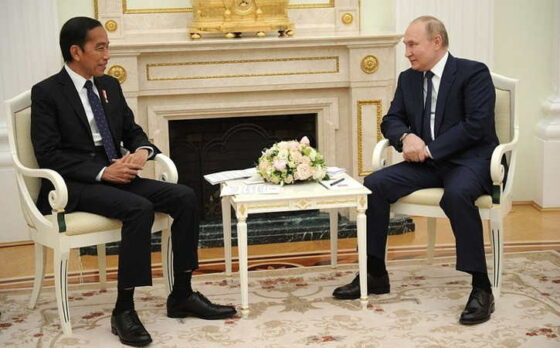 Presiden Jokowi melakukan pertemuan dengan Presiden Rusia Vladimir Putin di Istana Kremlin, Kamis (30/6/2022). (Bisnis.com)
