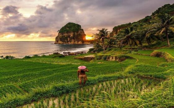 pantai bagus pacitan