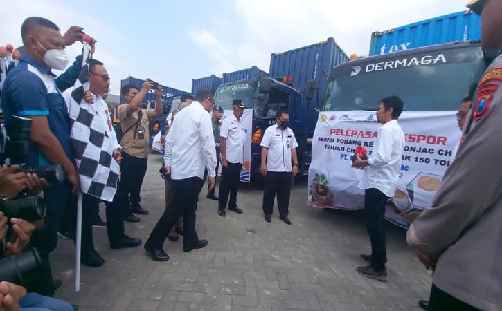 Keran Ekspor ke China Dibuka, Madiun Kirim 162 Ton Chip Porang