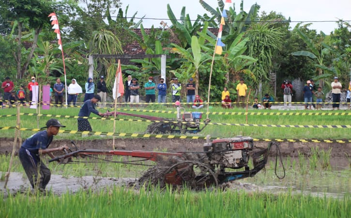 Peserta lomba balap traktor beradu ketangkasan dan kecepatan mengendalikan traktor di lahan persawahan wilayah Desa Karangduren, Kecamatan Kebonarum, Minggu (14/8/2022) siang. (Solopos.com/Taufiq Sidik Prakoso)