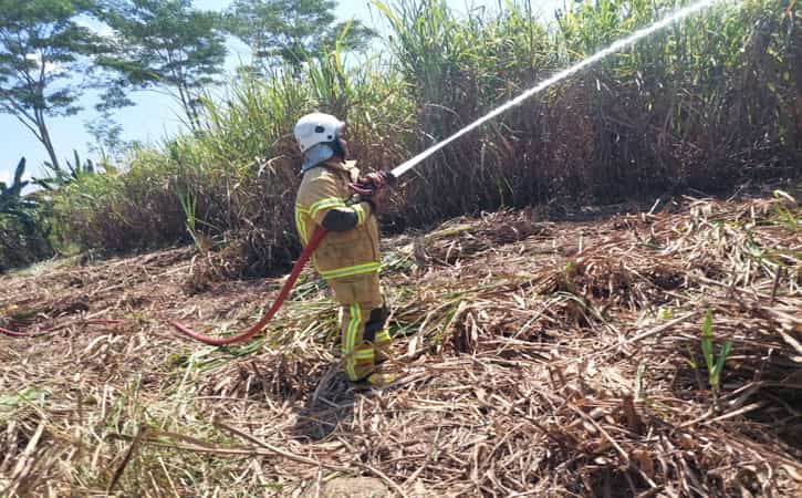 Terjadi Lagi! Kebakaran Landa Lahan Tebu di Klaten