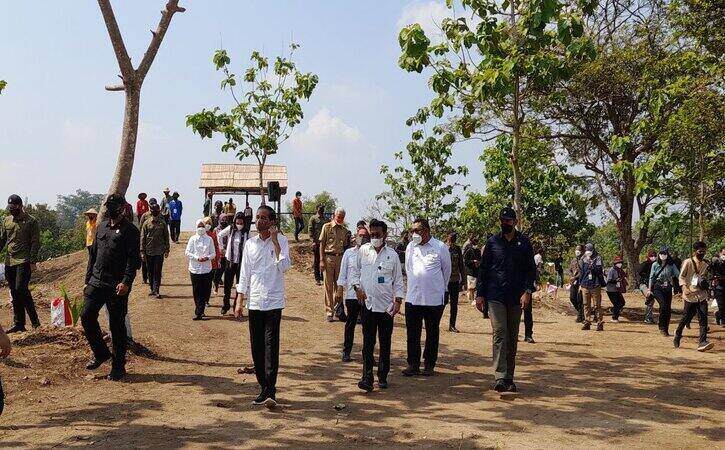 Presiden Joko Widodo (paling depan) didampingi Menteri Pertanian, Syahrul Yasin Limpo (depan, dua dari kanan), berkeliling di area penanaman kelapa genjah di Desa Giriroto, Kecamatan Ngemplak, Kabupaten Boyolali, Kamis (11/8/2022). (Solopos/Ni’matul Faizah).