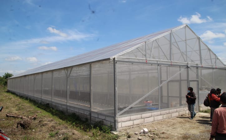 Green house dibangun Pemdes Bogem, Kecamatan Bayat untuk budi daya melon di lahan kas desa yang sebelumnya lahan tandus, Selasa (27/9/2022). (Solopos.com/Taufiq Sidik Prakoso).