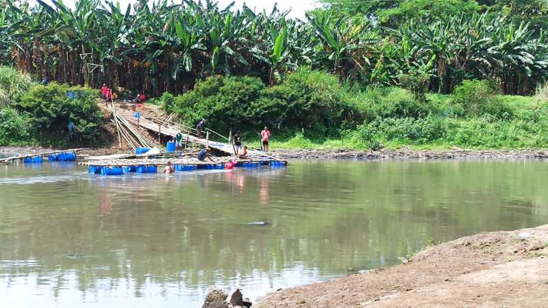 Warga Gadingan, Mojolaban, memperbaiki jembatan sasak menuju Sangkrah, Pasar Kliwon, Solo, yang hanyut terbawa arus sungai saat hujan, Kamis (29/9/2022) malam. Foto diambil Jumat (30/9/2022). (Solopos/Nicolous Irawan)