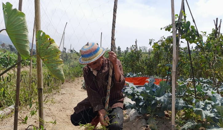 Petani di Desa Suroteleng, Kecamatan Selo, Kabupaten Boyolali, Suradi, 50, saat membenahi jaring di ladangnya, Selasa (20/9/2022). Ia mengatakan monyet yang menyerang tanaman petani datang bergerombol. (Solopos/Ni’matul Faizah)