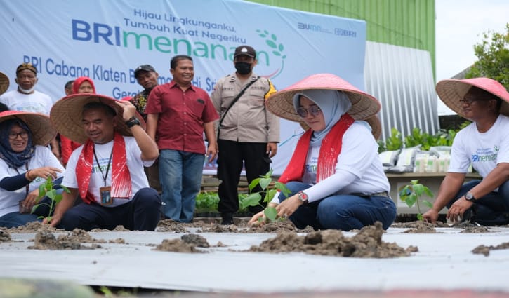 Bupati Klaten, Sri Mulyani, dan pimpinan BRI cabang Klaten menanam cabai di Desa Kemudo, Kecamatan Prambanan, Selasa (4/10/2022). (Istimewa/Diskominfo Klaten)
