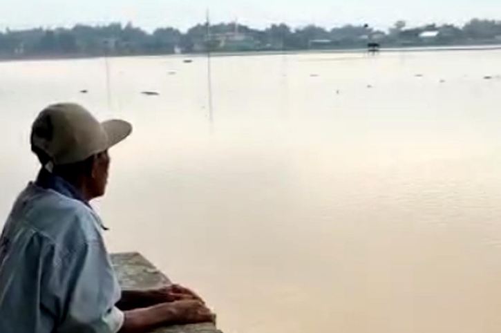 Seorang petani melihat kondisi sawah yang tergenang air di wilayah Desa Gentan Banaran, Kecamatan Plupuh, Sragen, pada Minggu (20/11/2022) pagi. (Istimewa)